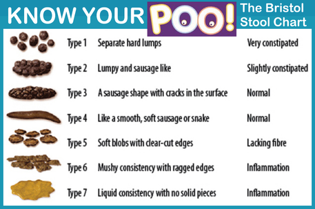 Know your Poo The Bristol Stool Chart