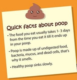 Quick facts about poop 