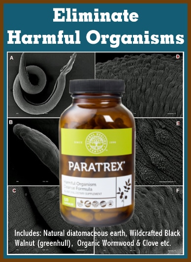 Parasite elimination supplements